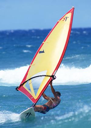 秋田市の魅力的なジム事情を徹底解説！